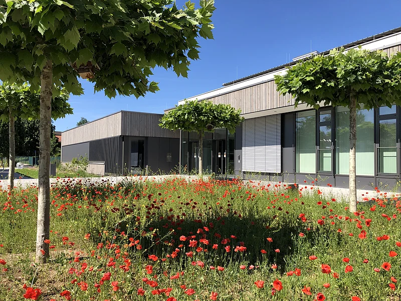 Schulgebäude mit Blumenfeld Außenansicht der Altmühltal-Realschule Beilngries von der Seite des Haupteinganges mit Blumenfeld